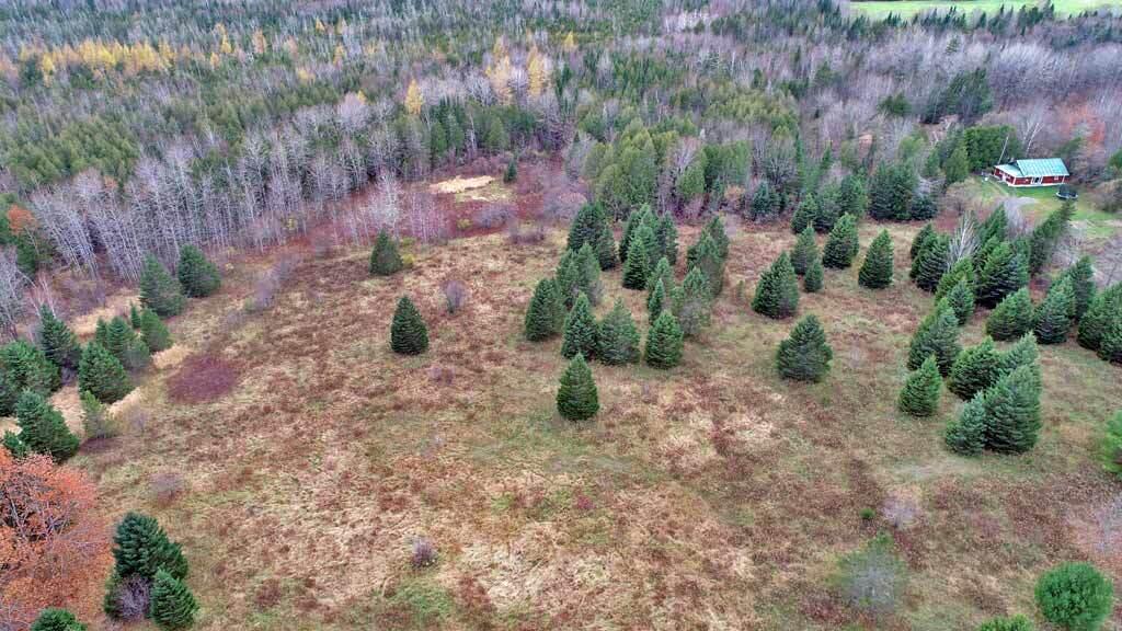 Lot 18 U.S. Rte 2 Newport, ME 04953 - Photo 55 of 62 lanbd-in-maine-surveyed