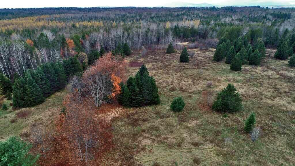 Lot 18 U.S. Rte 2 Newport, ME 04953 - Photo 59 of 62 maine-land-sherman-maine
