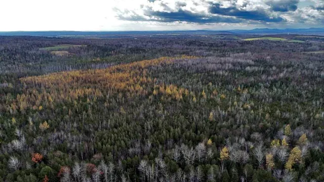 $66,900 | Lot 18 U.S. Rte 2, Newport, ME 04953