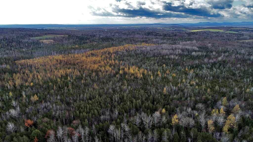 Lot 18 U.S. Rte 2 Newport, ME 04953 - Photo 6 of 62 aerial-me-land-farm-woods-1