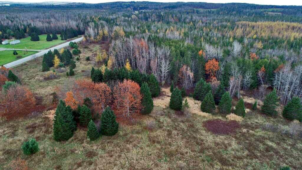 Lot 18 U.S. Rte 2 Newport, ME 04953 - Photo 7 of 62 land-homesteading-in-maine