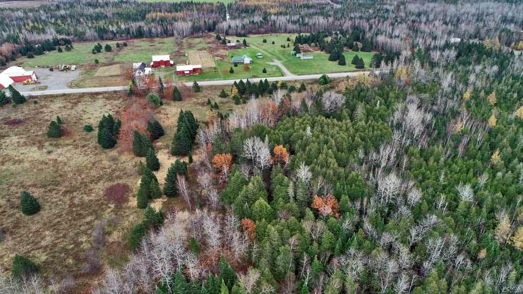 Lot 18 U.S. Rte 2 Newport, ME 04953 - Photo 10 of 62 maine-farm-property-1