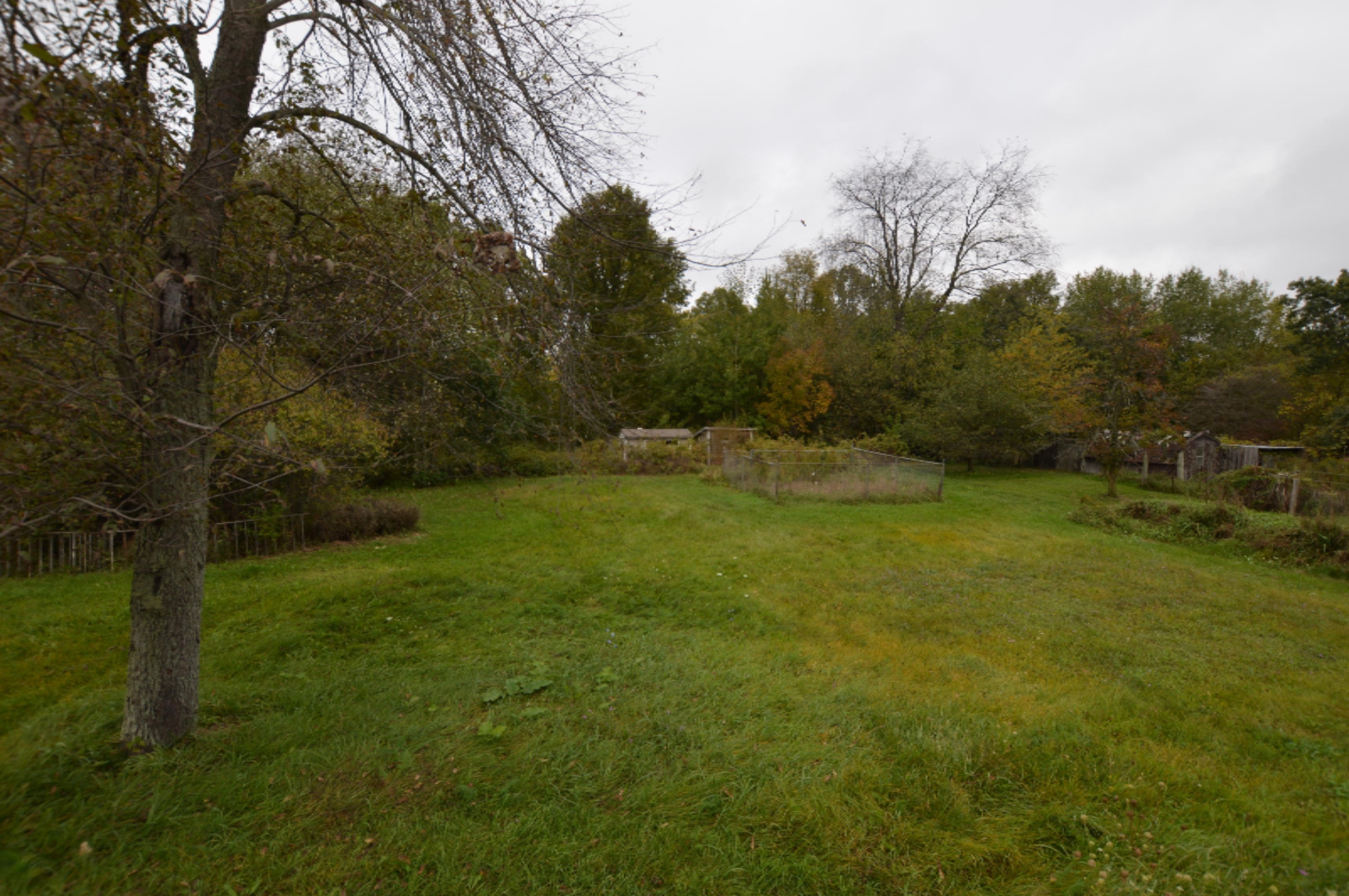 1780 Youngs Road Orleans, MI 48865 - Photo 20 of 20 DSC_0333