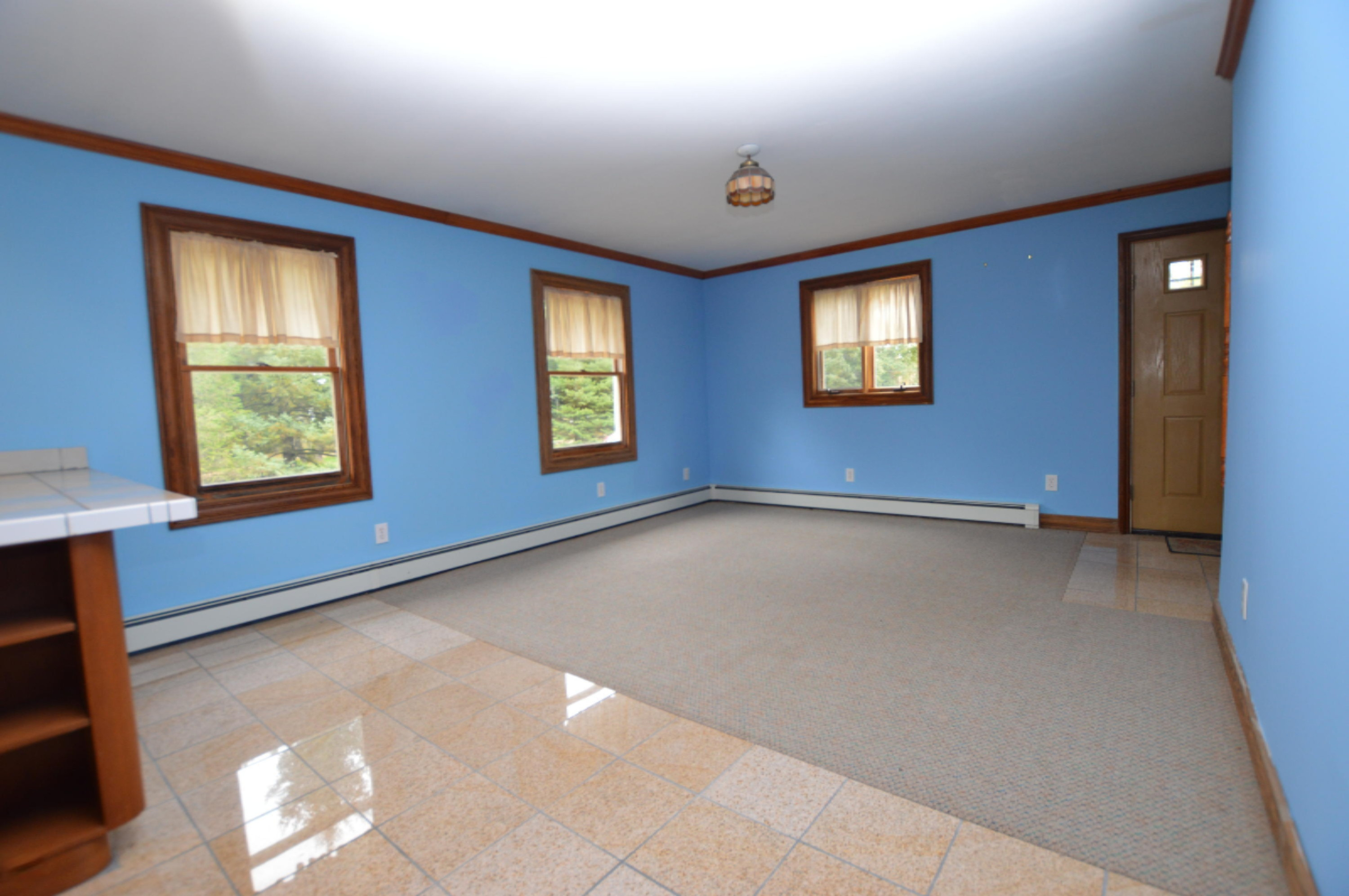 1780 Youngs Road Orleans, MI 48865 - Photo 5 of 20 DSC_0320