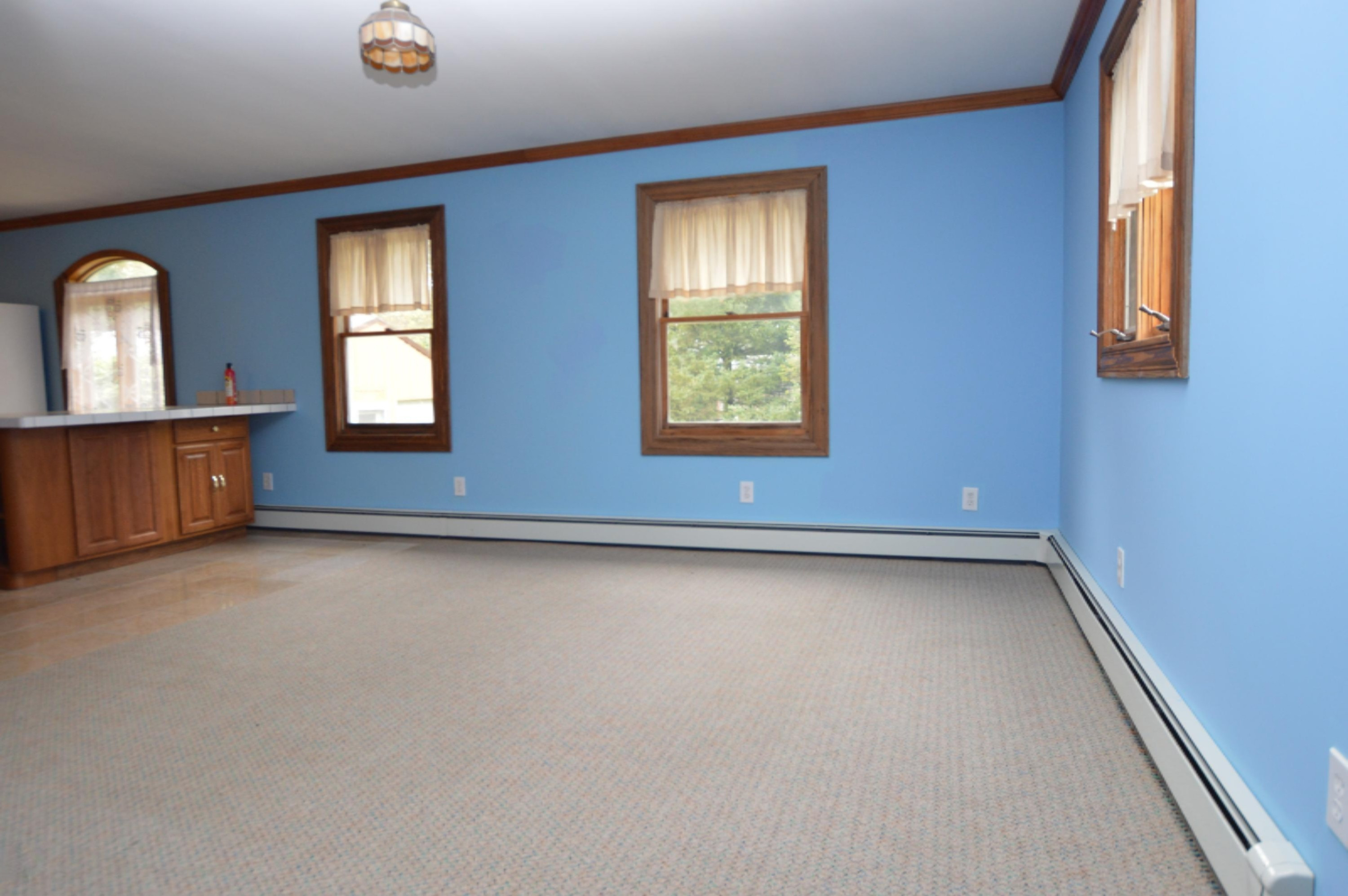 1780 Youngs Road Orleans, MI 48865 - Photo 6 of 20 DSC_0328