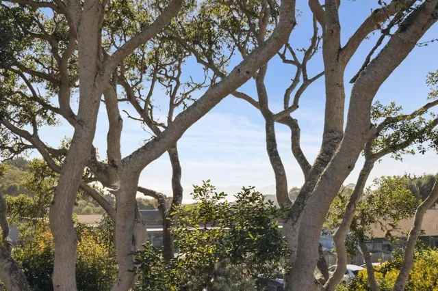 $3,795,000 | 2830 14th Avenue, Carmel, CA 93923