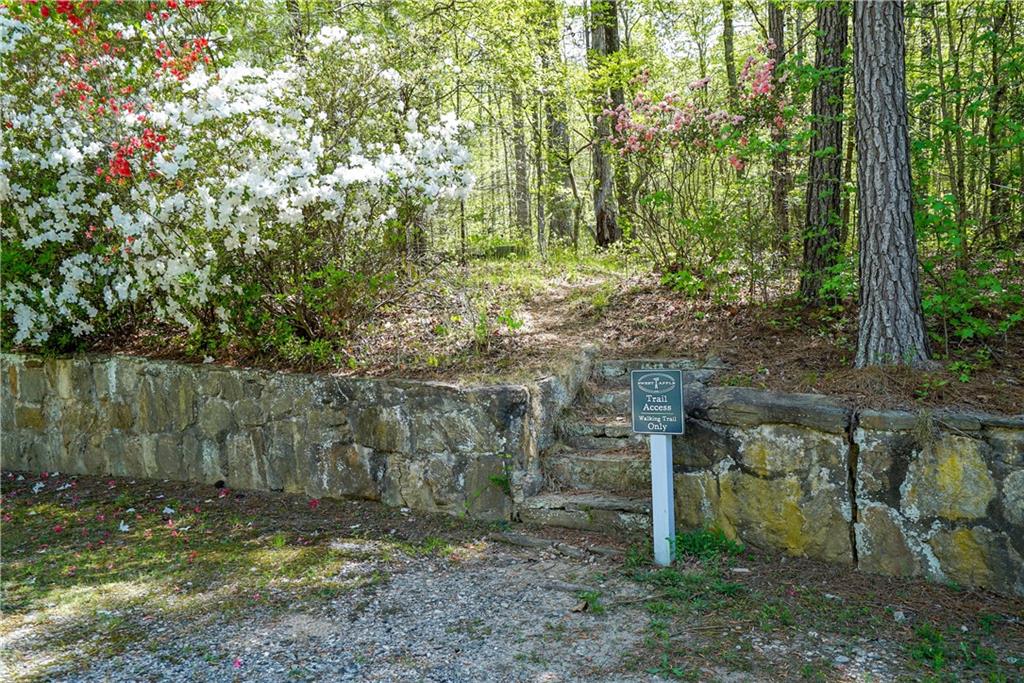 13565 Wood Fern Way Roswell, GA 30075 - Photo 12 of 14 a view of a forest with a bench
