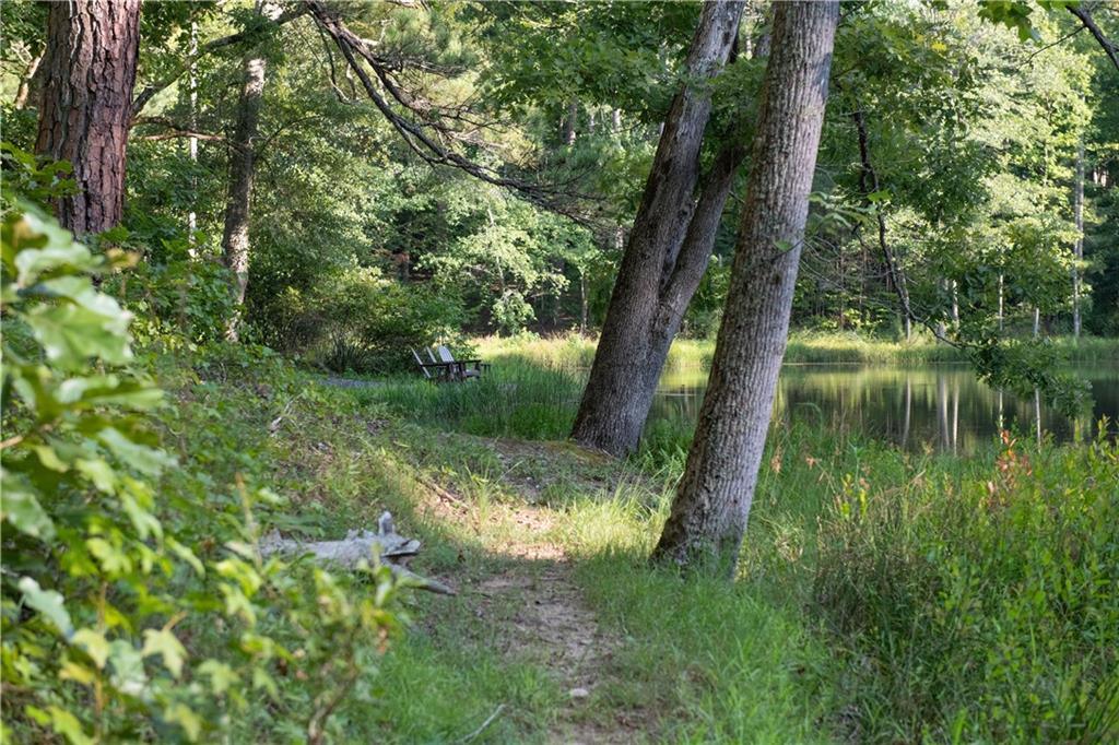 13565 Wood Fern Way Roswell, GA 30075 - Photo 13 of 14 a view of a lake with a tree