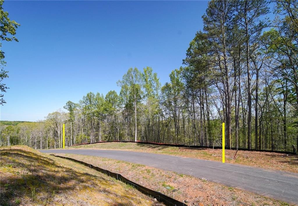 13565 Wood Fern Way Roswell, GA 30075 - Photo 4 of 14 a view of a backyard of a house