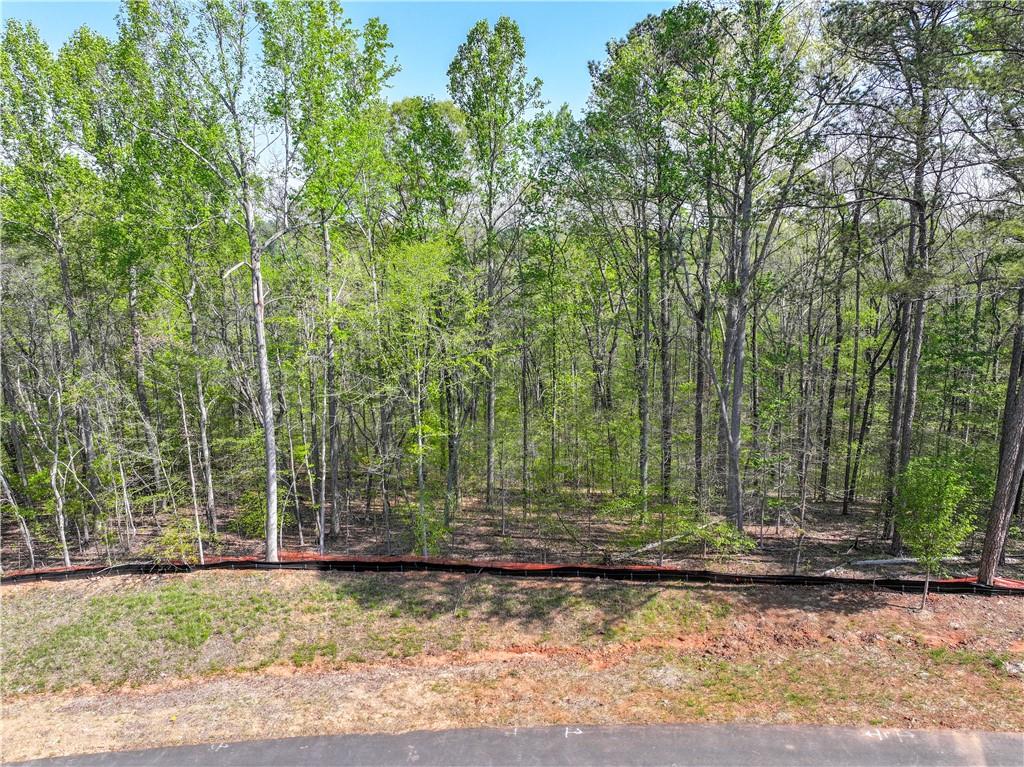 13565 Wood Fern Way Roswell, GA 30075 - Photo 5 of 14 a view of a backyard with trees