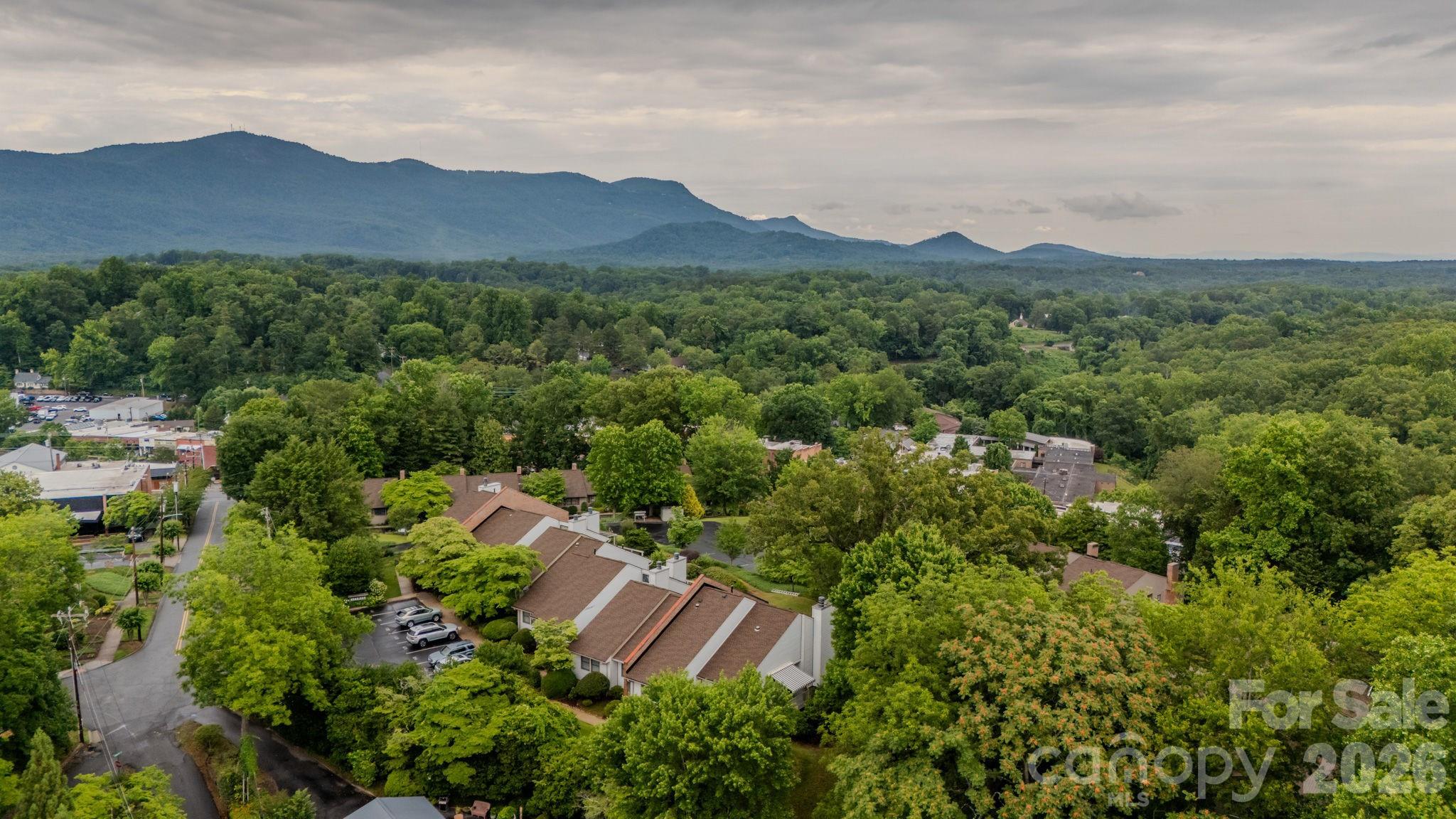 77 Chestnut Street, Unit 106 Tryon, NC 28782 - Photo 26 of 26