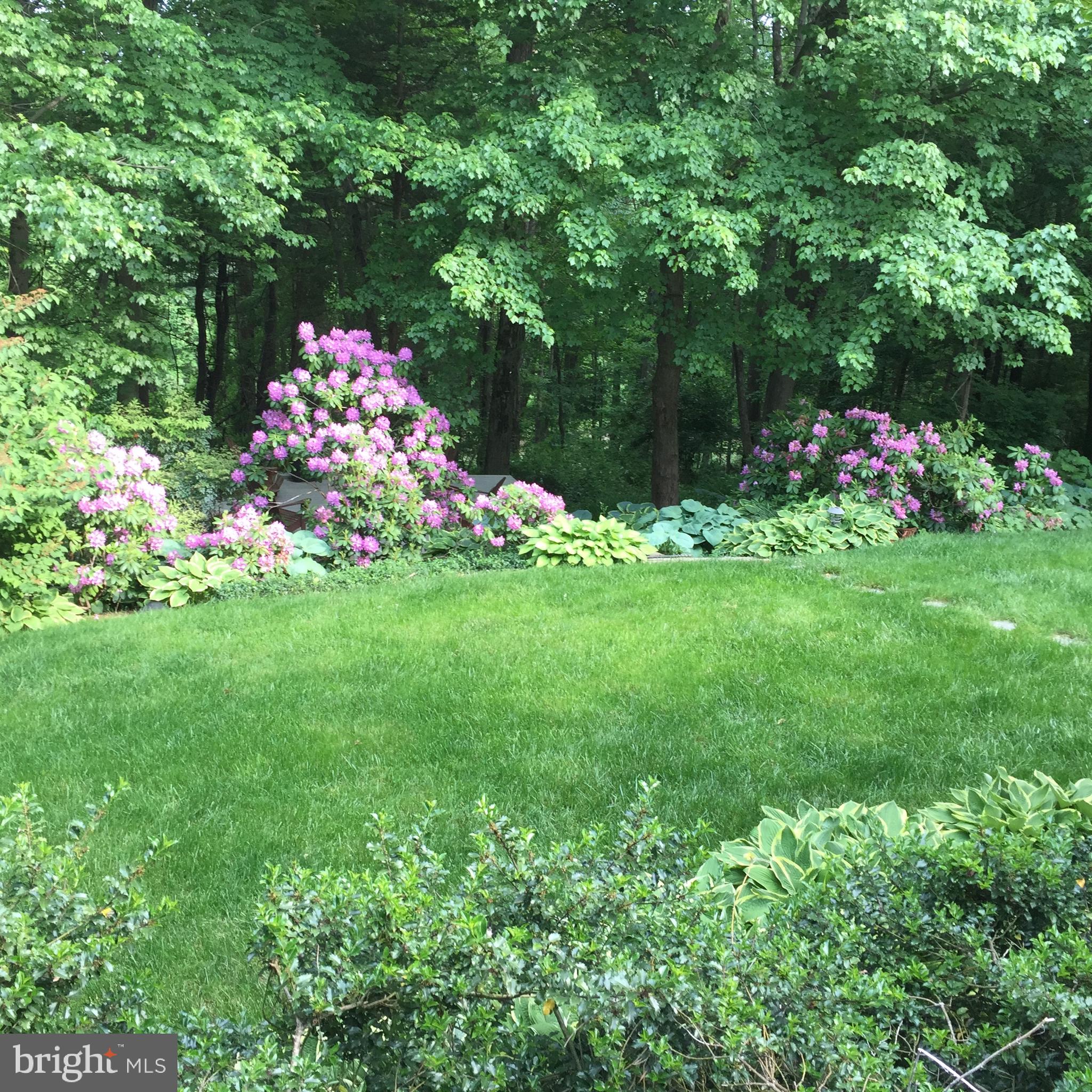 24 Ridings Way Chadds Ford, PA 19317 - Photo 46 of 48