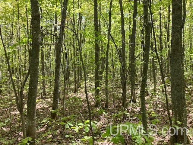 2 Boundary Road Chassell, MI 49916 - Photo 59 of 77