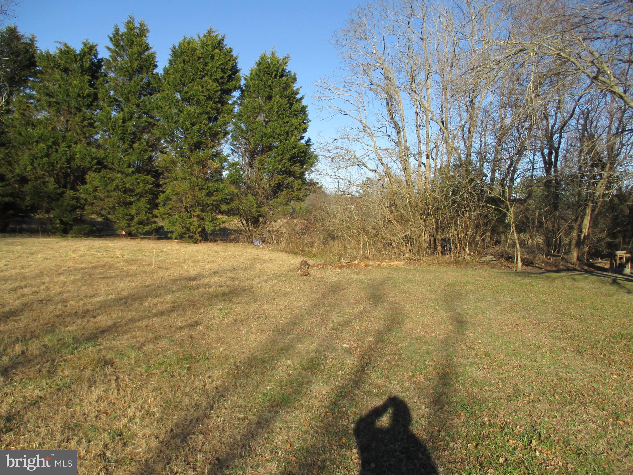 29791 Armory Road Dagsboro, DE 19939 - Photo 11 of 12