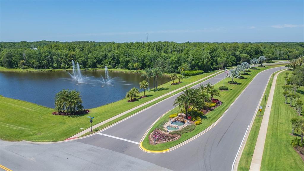 3516 Shadowood Drive Valrico, FL 33596 - Photo 54 of 56