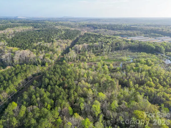an aerial view of forest