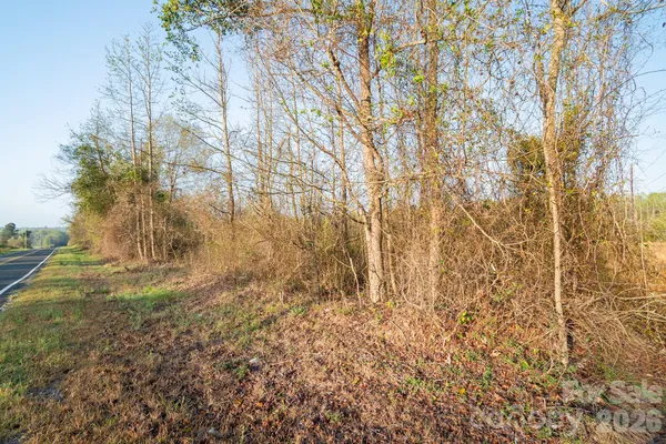 a view of backyard of a house