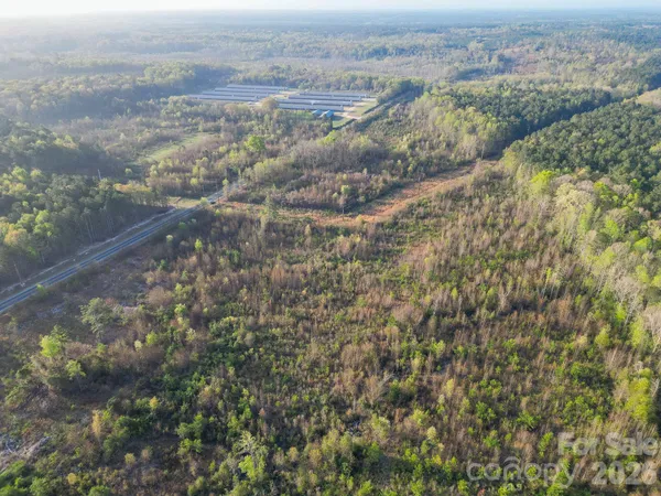 an aerial view of forest