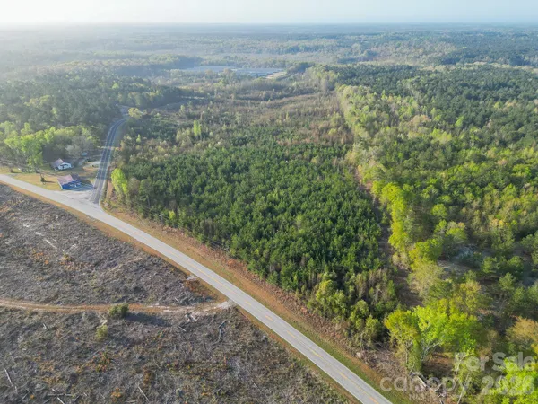 a view of a forest from a balcony