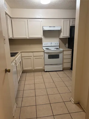 a kitchen with a stove a sink and a refrigerator