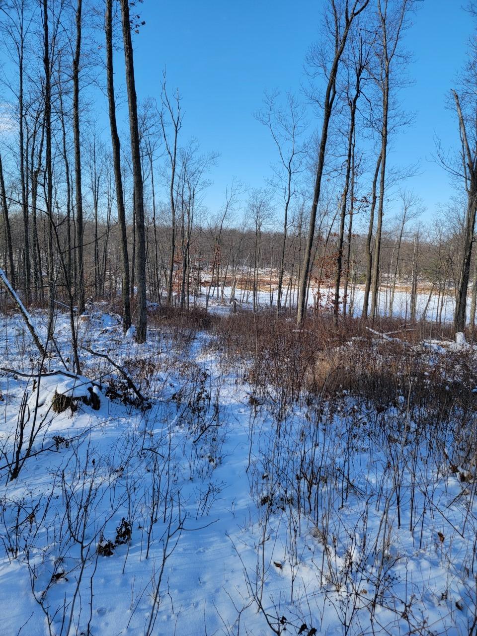 On Rollingwood Road Stone Lake, WI 54876 - Photo 1 of 32 Gallery Image 1