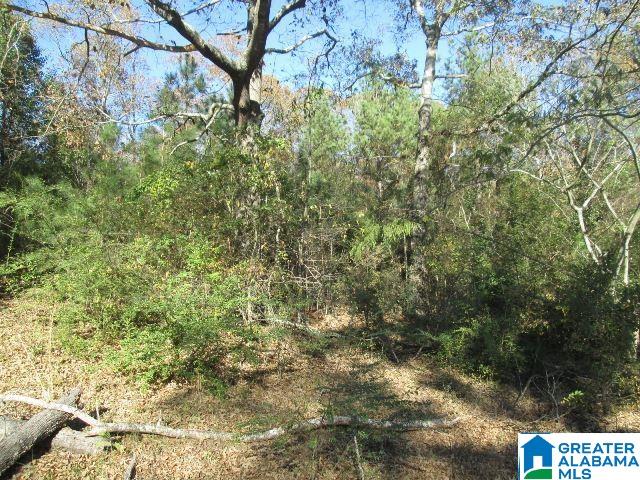 0 Eureka Road, Unit 64 Lincoln, AL 35096 - Photo 4 of 5
