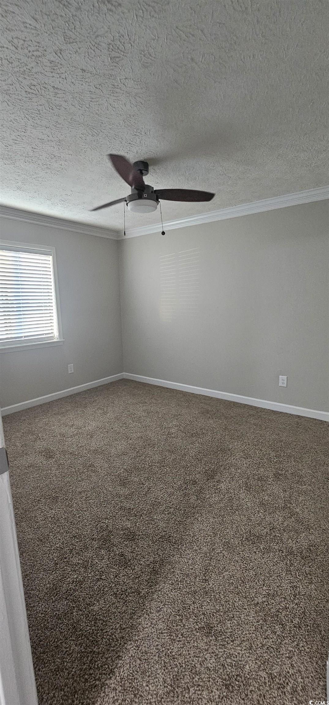 615 Carter Lane, Unit A1 Conway, SC 29526 - Photo 14 of 24 Carpeted spare room with a textured ceiling, ceiling fan, and ornamental molding