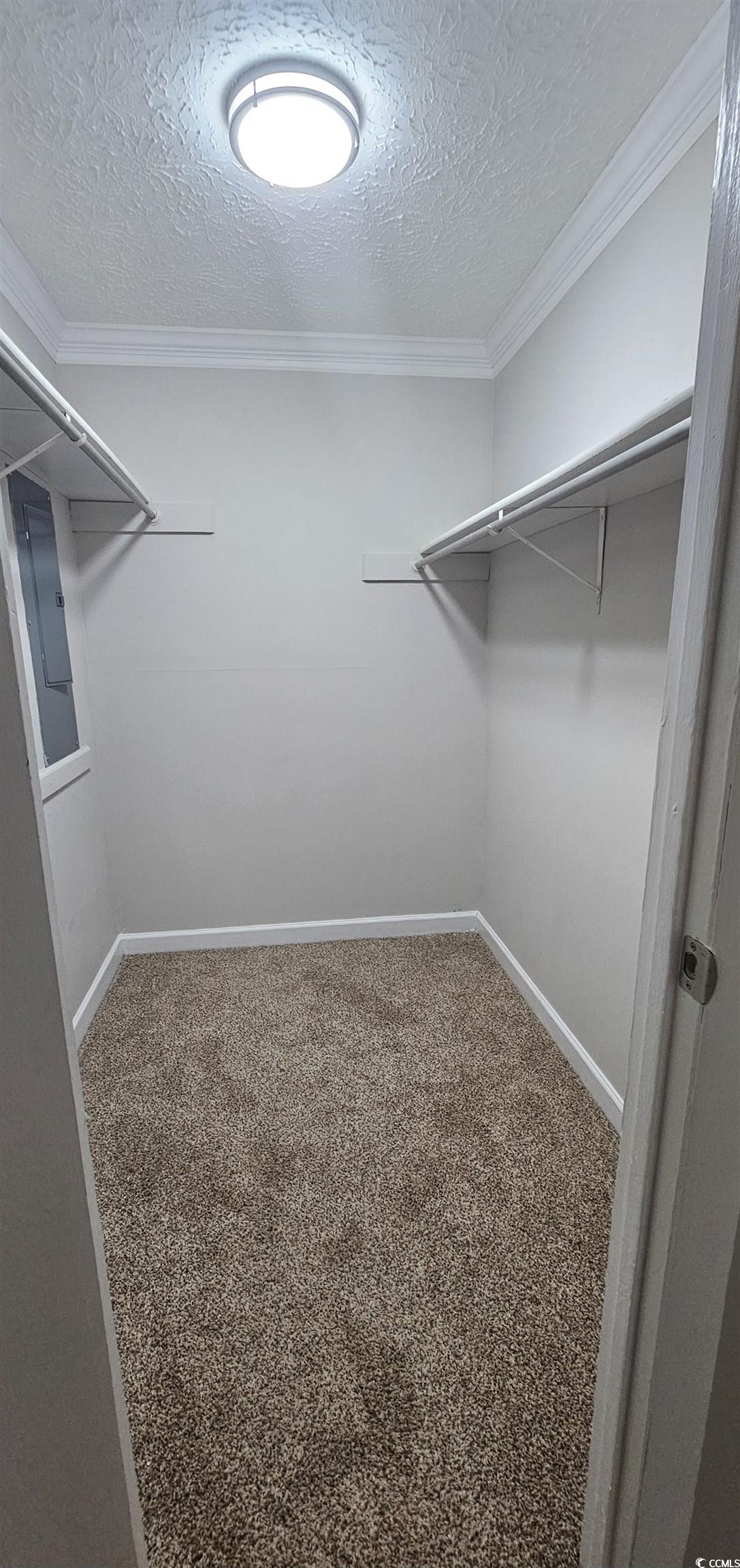 615 Carter Lane, Unit A1 Conway, SC 29526 - Photo 15 of 24 Spacious closet featuring carpet floors