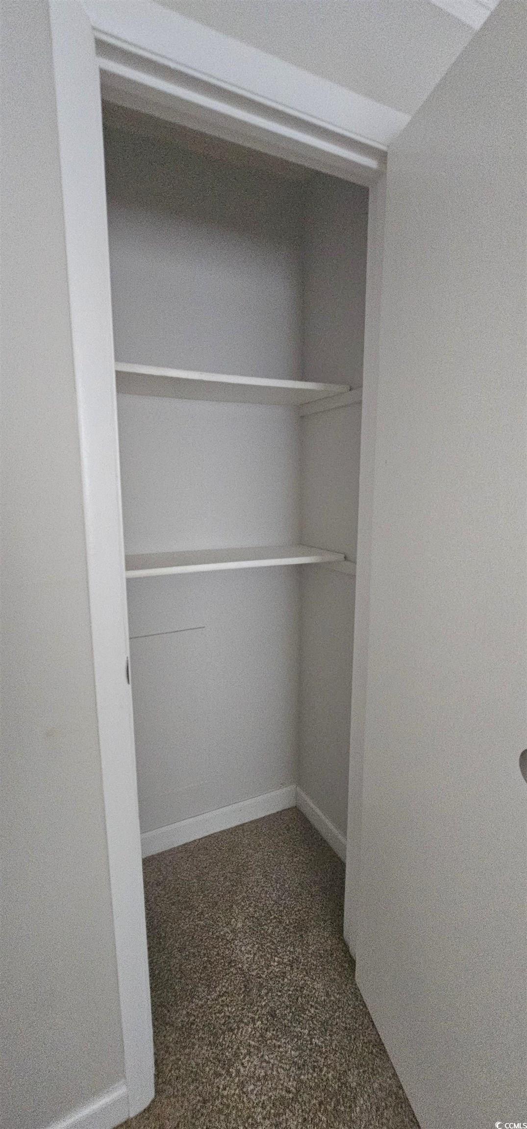 615 Carter Lane, Unit A1 Conway, SC 29526 - Photo 18 of 24 View of closet