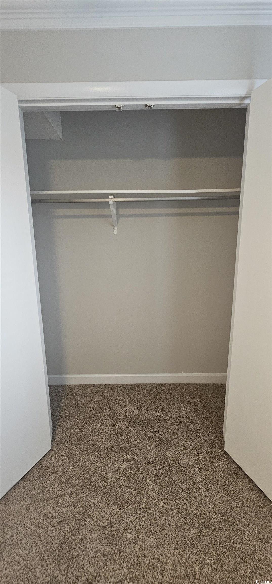 615 Carter Lane, Unit A1 Conway, SC 29526 - Photo 20 of 24 View of closet
