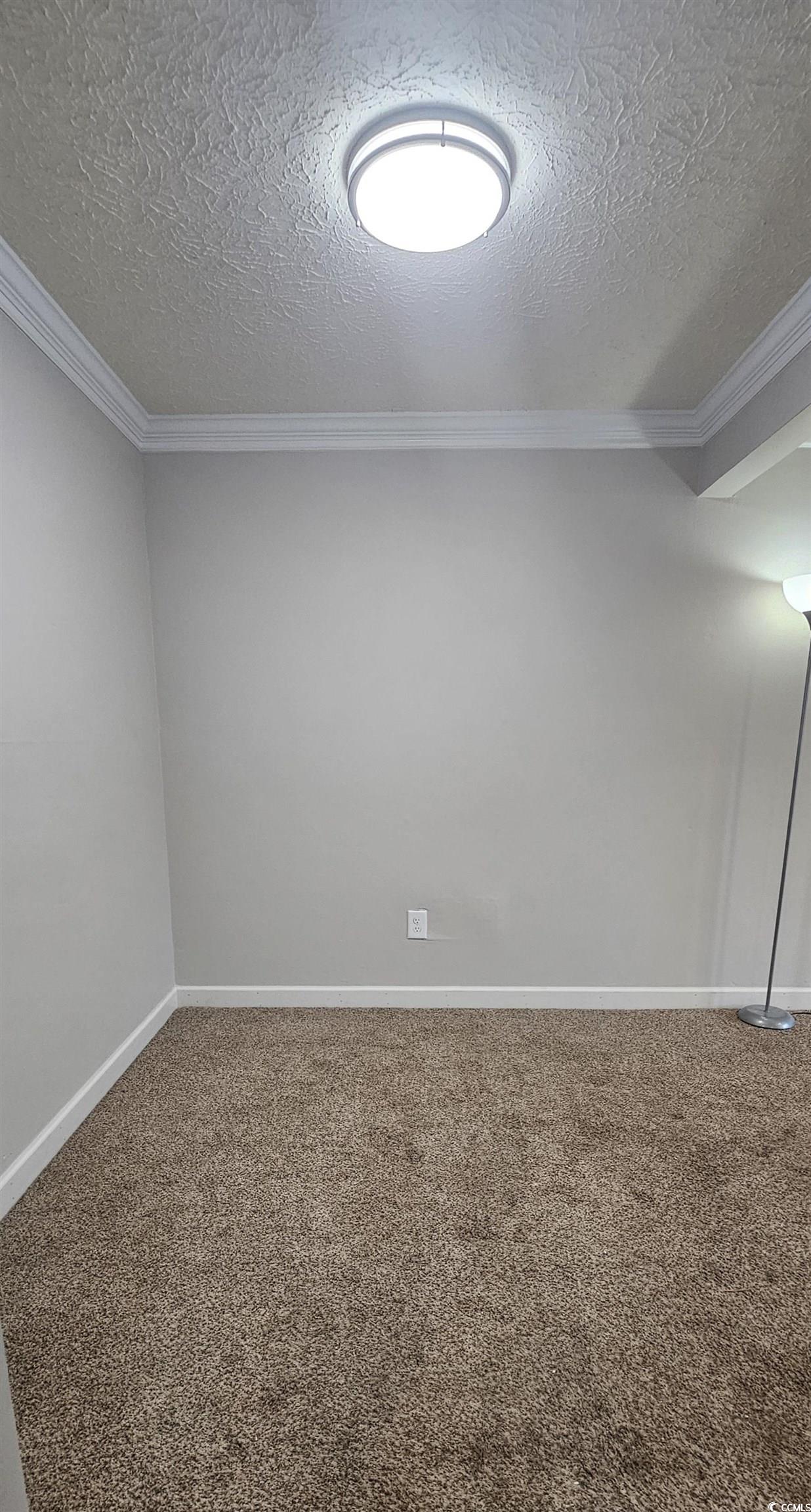 615 Carter Lane, Unit A1 Conway, SC 29526 - Photo 6 of 24 Carpeted spare room featuring a textured ceiling and crown molding