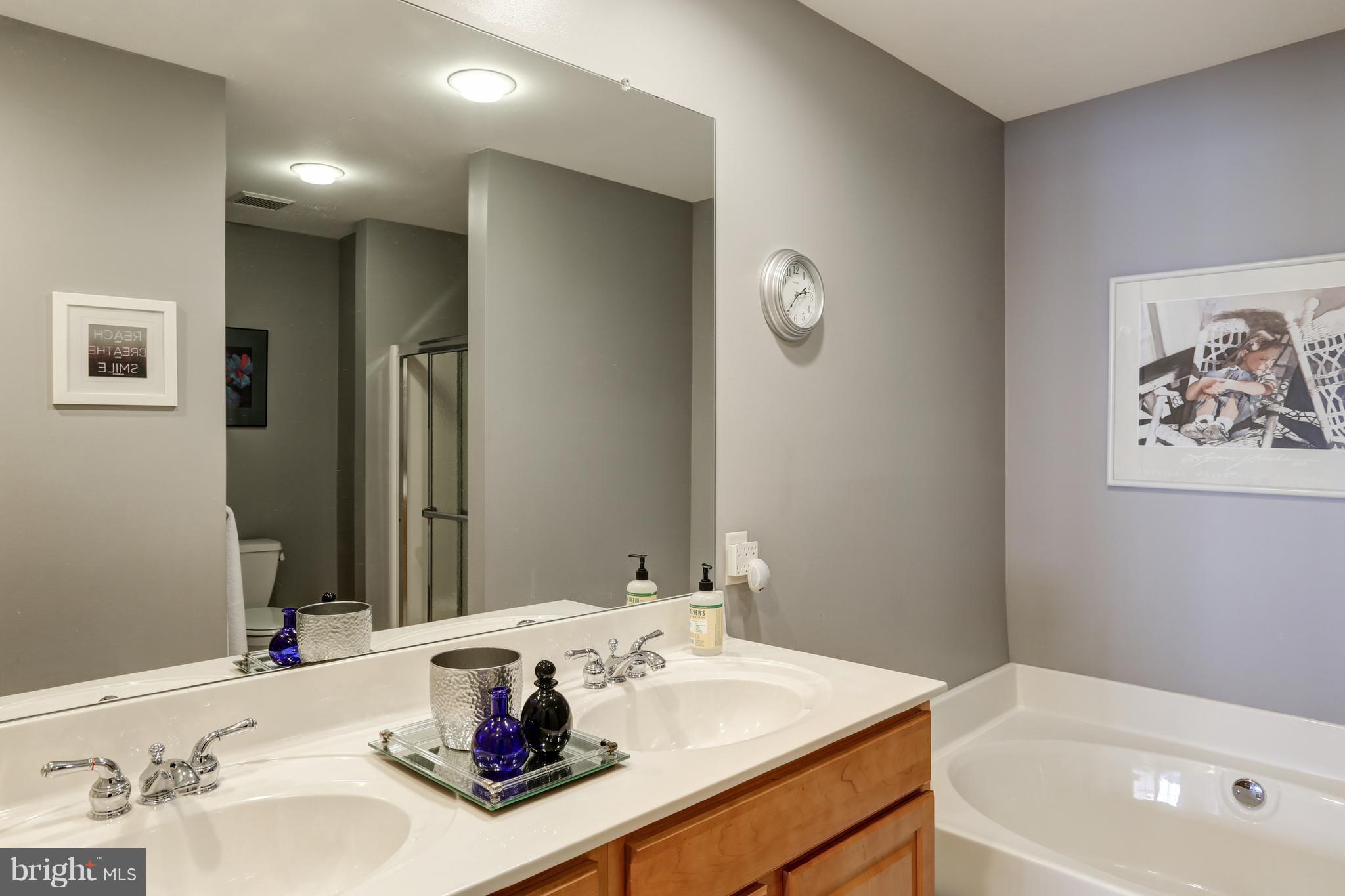 906 Suffolk Drive Lititz, PA 17543 - Photo 25 of 45 Let Calgon take you away......