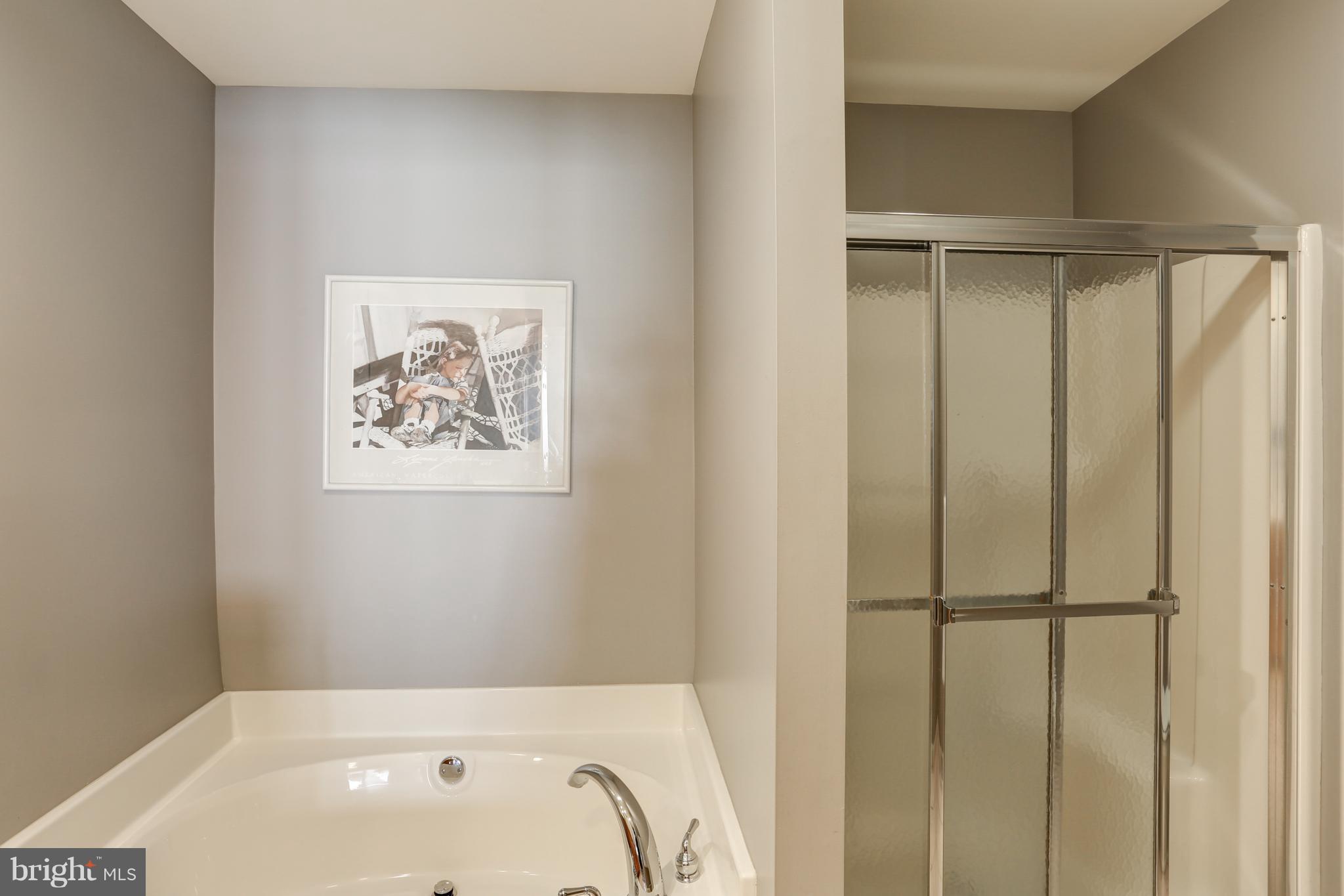 906 Suffolk Drive Lititz, PA 17543 - Photo 26 of 45 Soaking tub and shower.