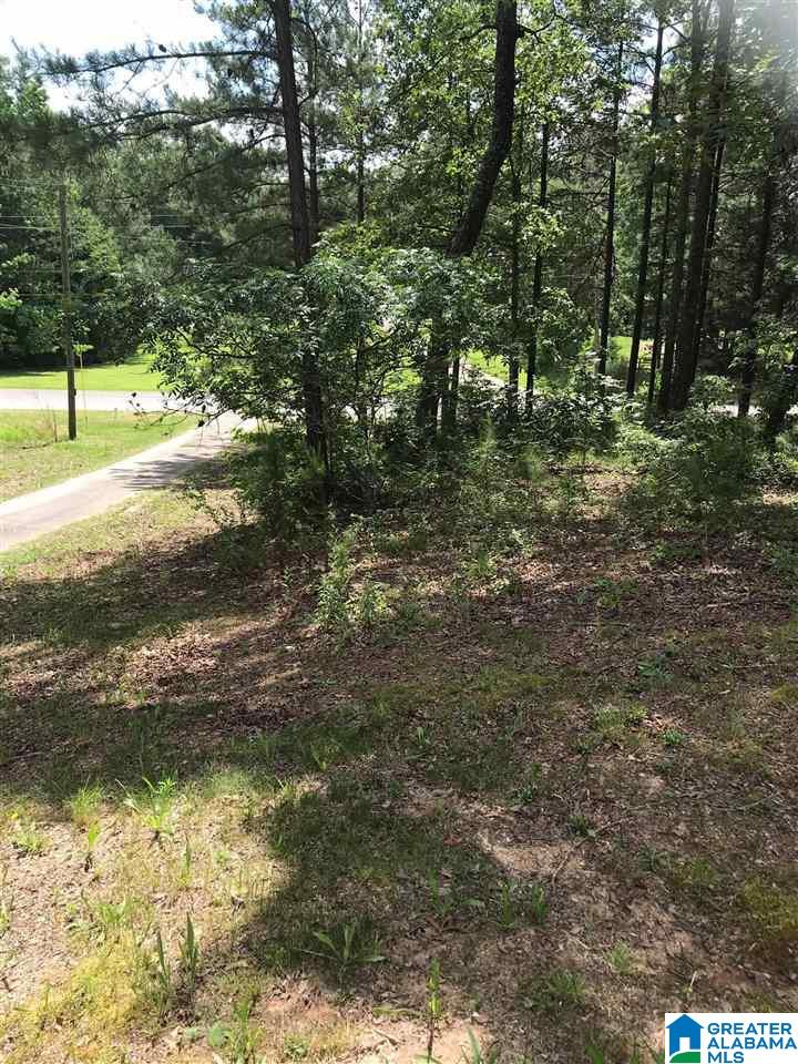 625 Pine Road Pell City, AL 35125 - Photo 3 of 3