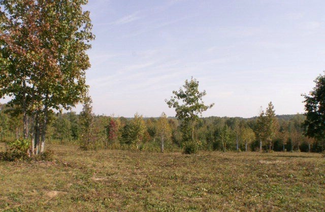 650 Twenty Two Road, Unit 9 Pamplin, VA 23958 - Photo 4 of 8 Gallery Image 4