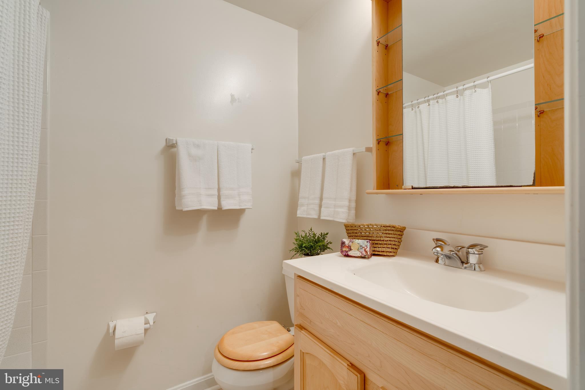 8761 Ridge Hollow Court Springfield, VA 22152 - Photo 50 of 62 Gallery Image 50