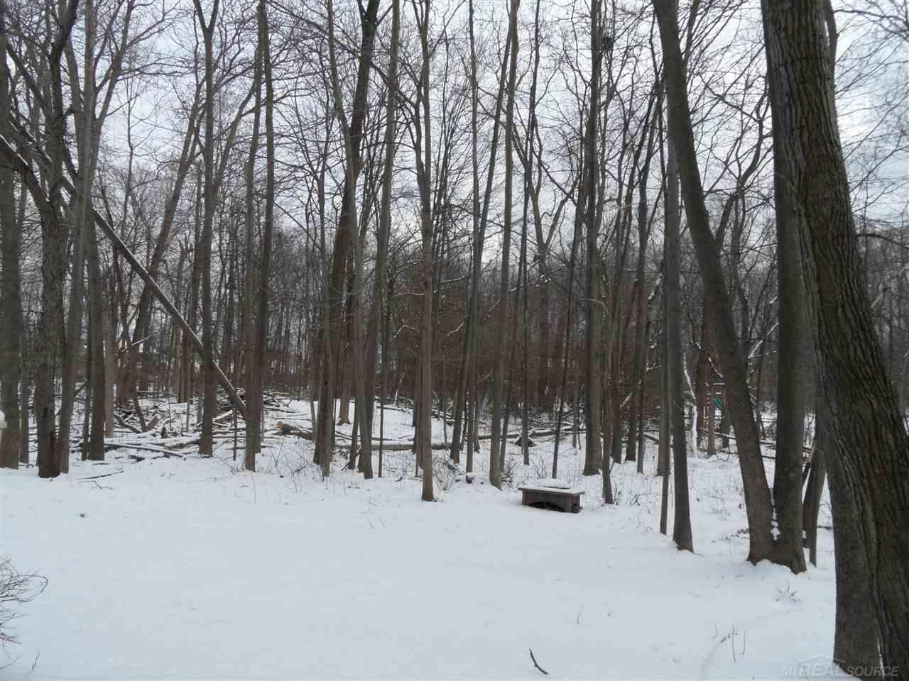 454 Daylily Drive Rochester, MI 48307 - Photo 2 of 41 woods behind house