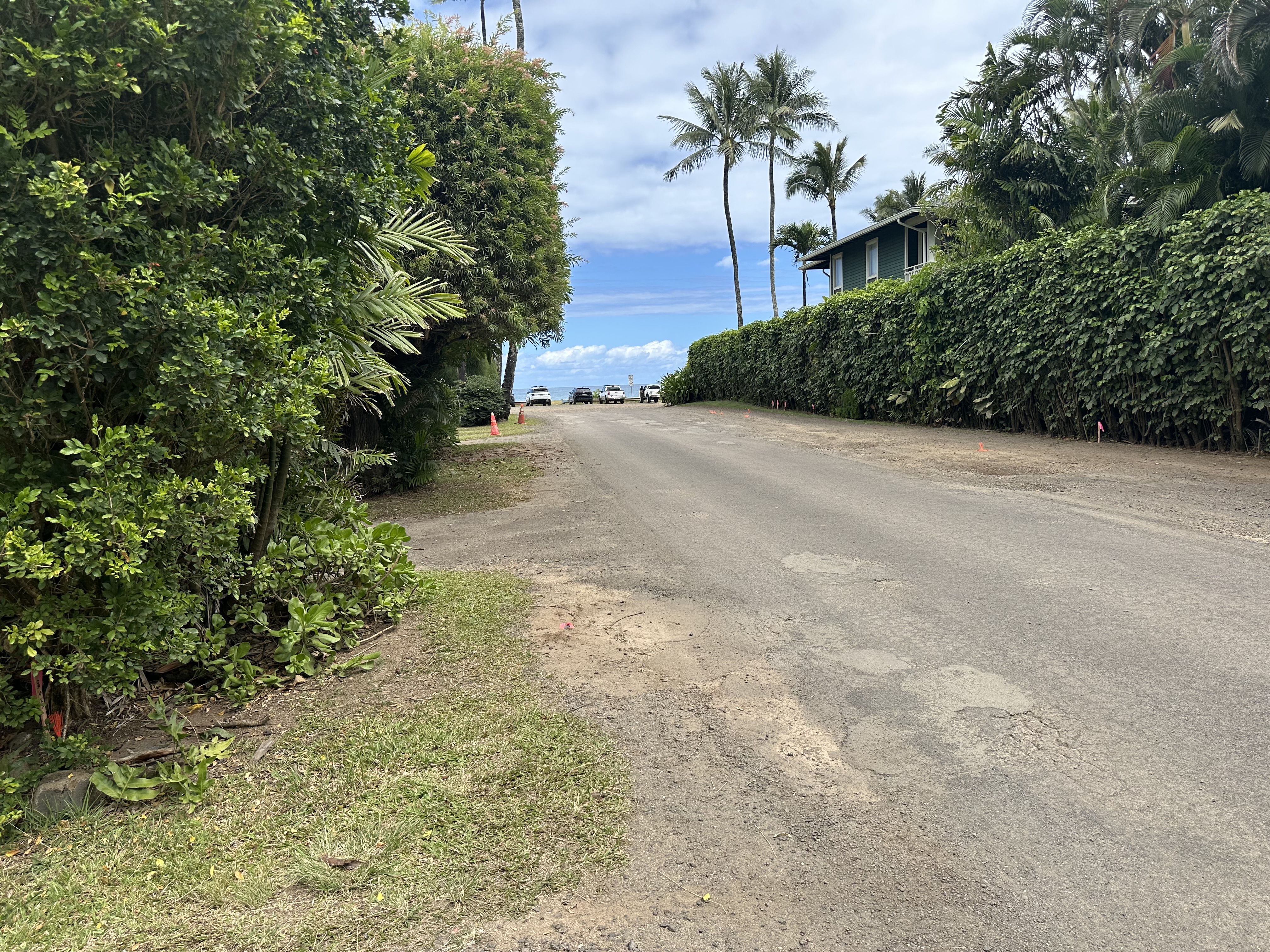 5404 Weke Road Hanalei, HI 96714 - Photo 3 of 19 a view of a yard with plants and palm trees