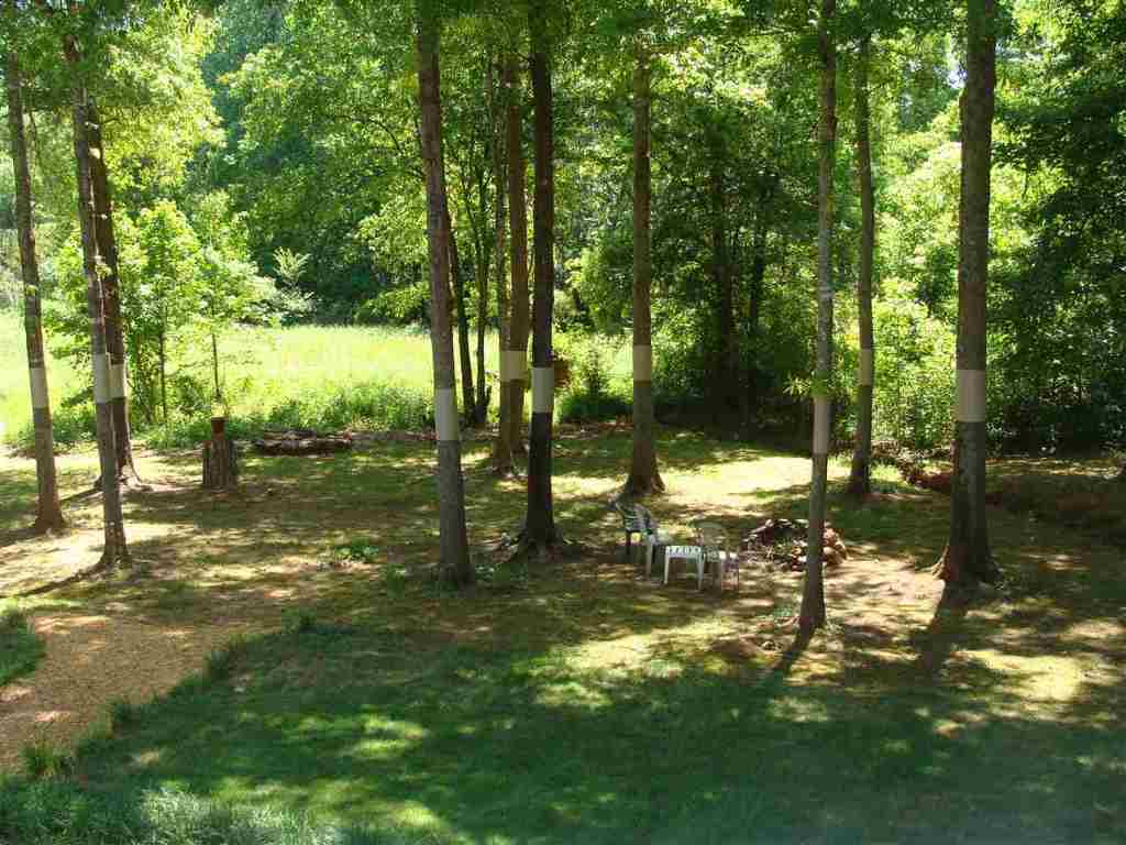 424 Old Colony Road Anderson, SC 29621 - Photo 28 of 31