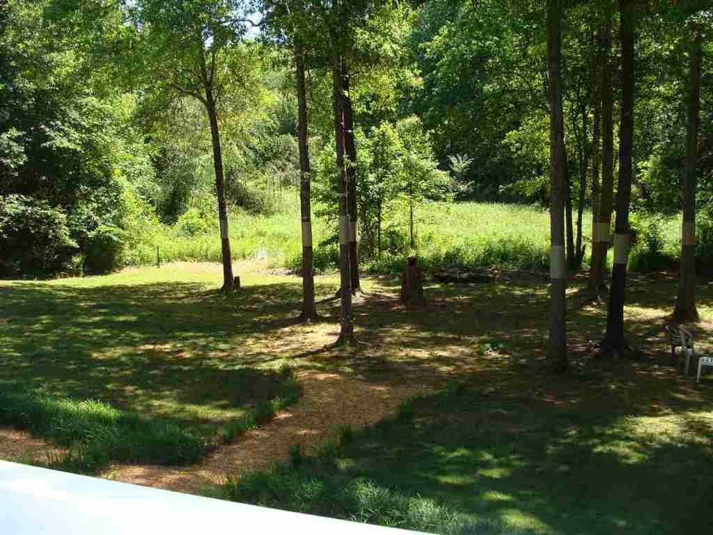 424 Old Colony Road Anderson, SC 29621 - Photo 29 of 31
