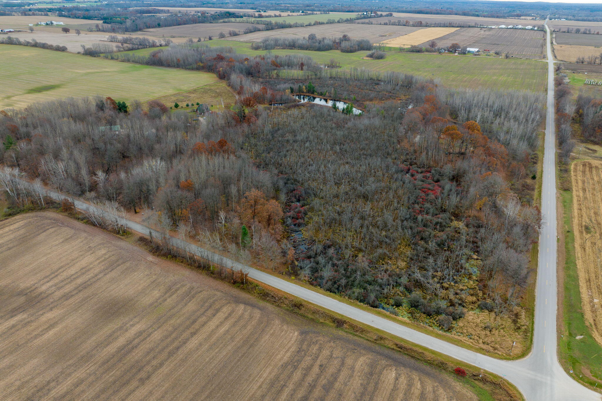 775 Jefferson Road Blanchard, MI 49310 - Photo 32 of 39 29-web-or-mls-DJI_0418