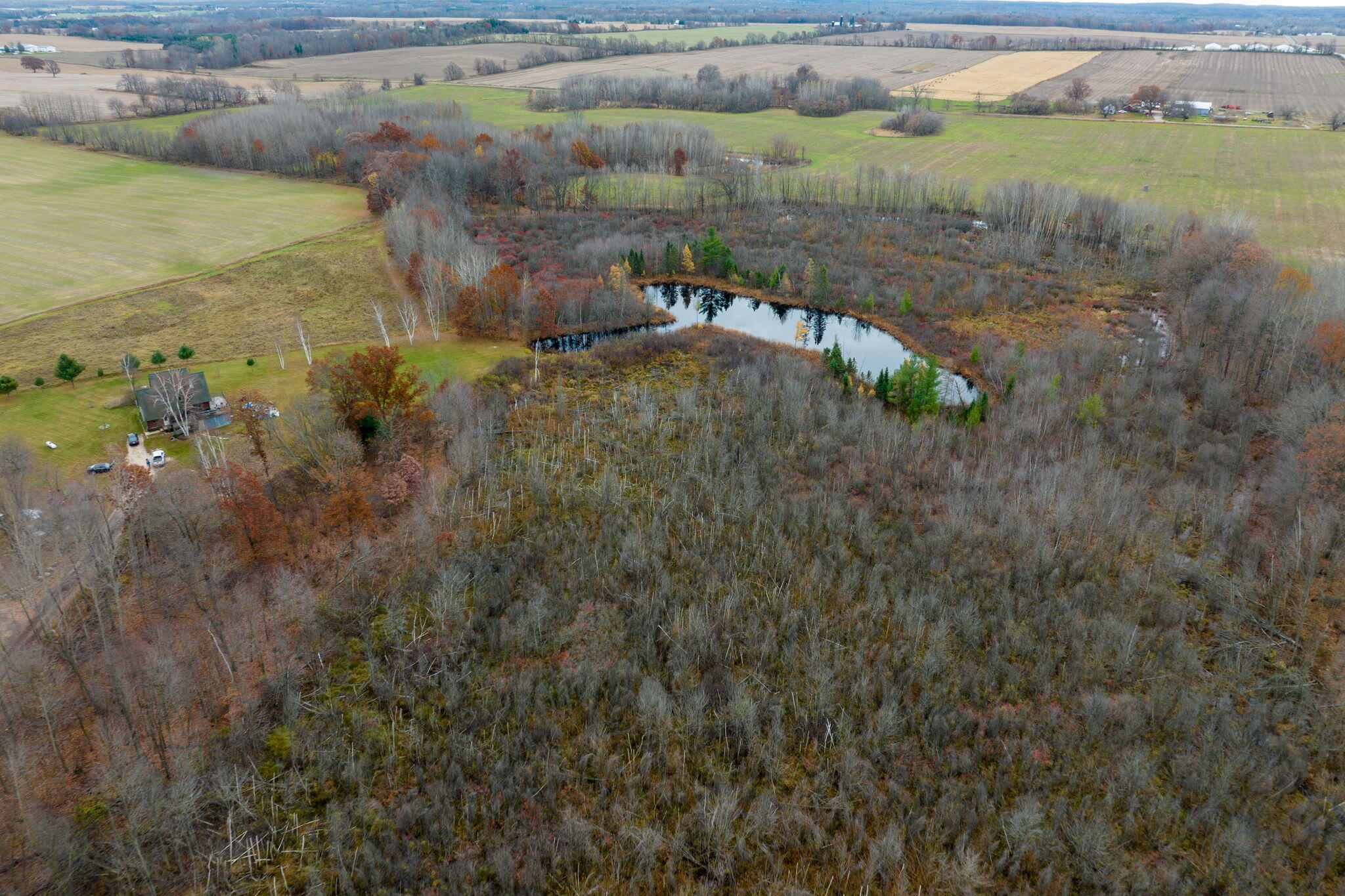 775 Jefferson Road Blanchard, MI 49310 - Photo 33 of 39 30-web-or-mls-DJI_0426