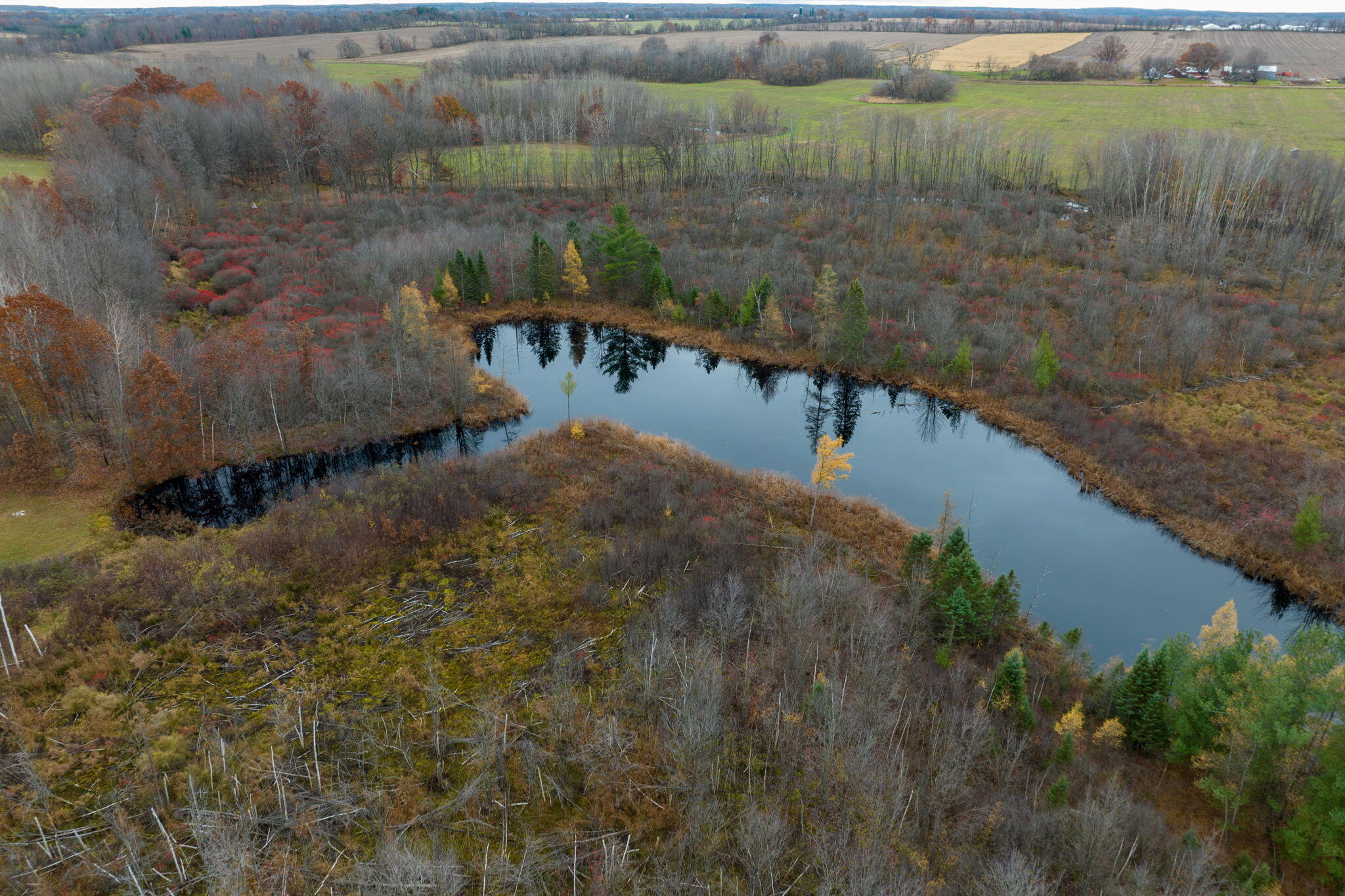 775 Jefferson Road Blanchard, MI 49310 - Photo 5 of 39 31-web-or-mls-DJI_0429