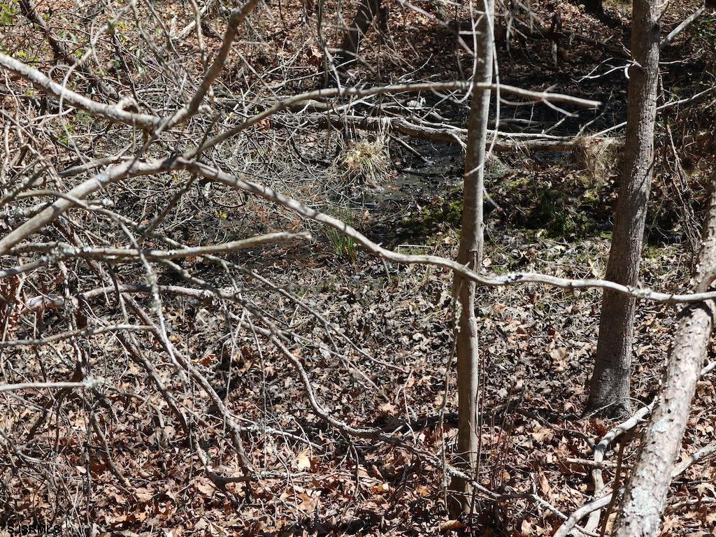 351 Shaws Mill Road Newport, NJ 08345 - Photo 70 of 84