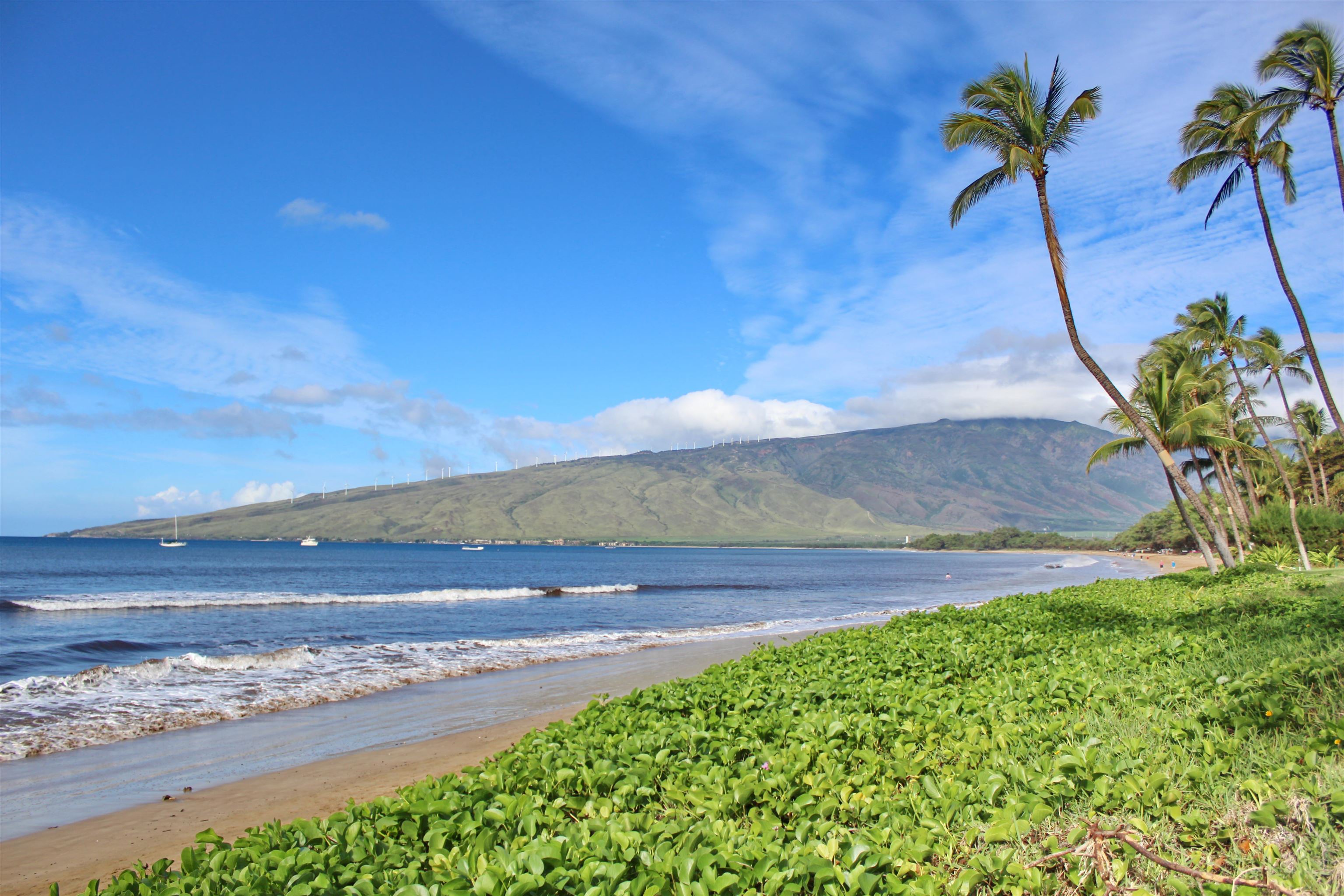 145 North Kihei Road, Unit 503 Kihei, HI 96753 - Photo 21 of 30 a view of a yard with an ocean
