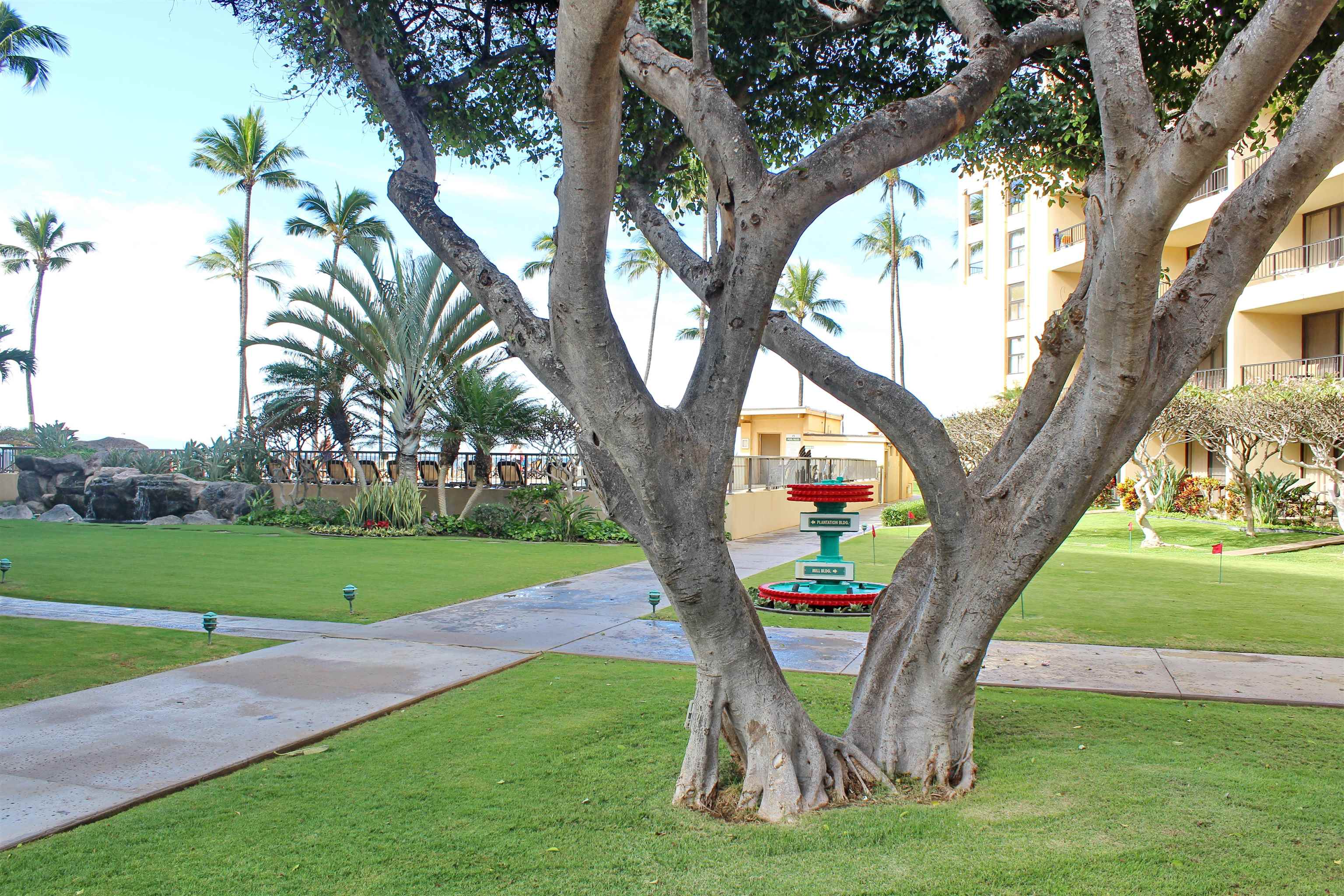 145 North Kihei Road, Unit 503 Kihei, HI 96753 - Photo 28 of 30 a view of a park with large trees