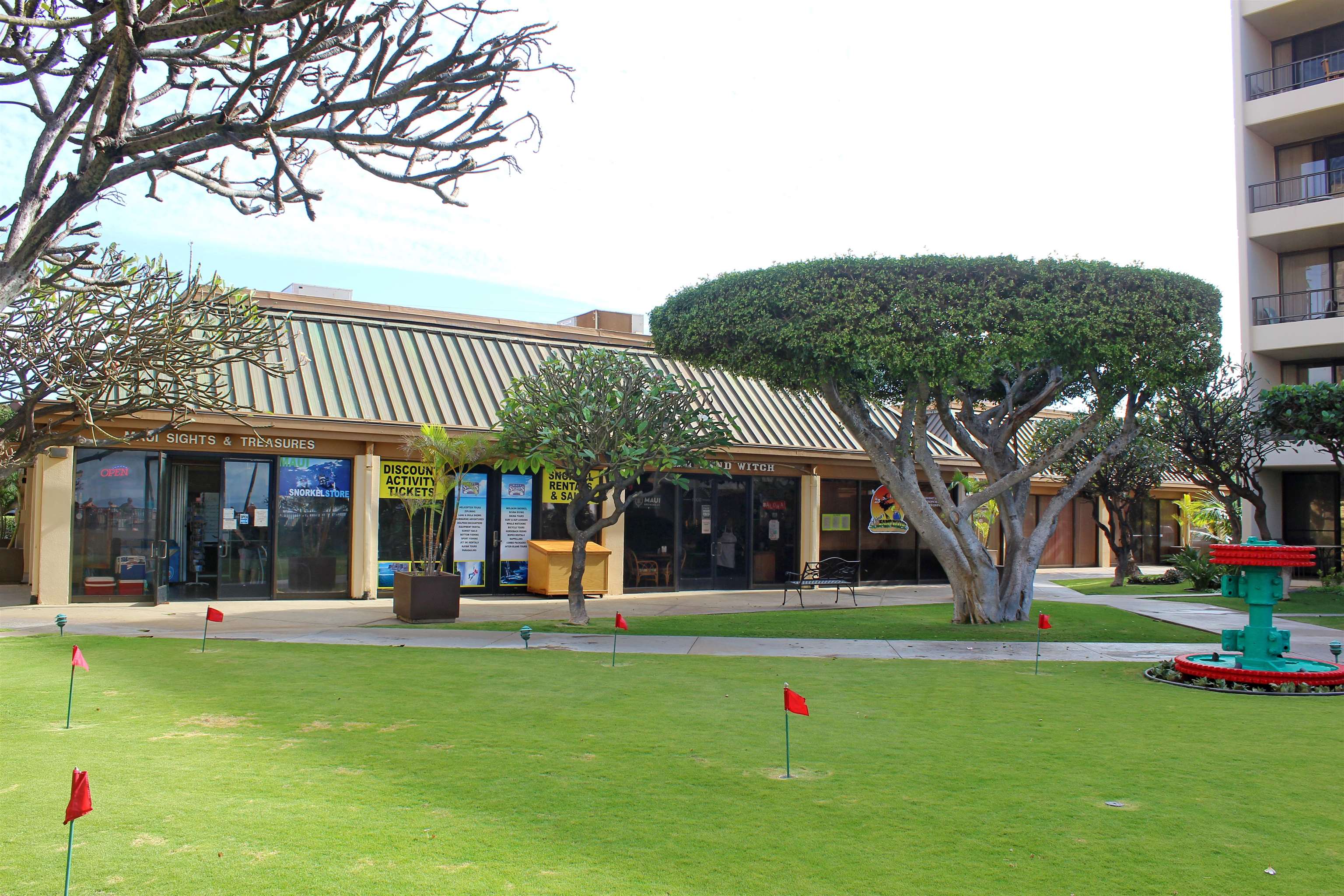 145 North Kihei Road, Unit 503 Kihei, HI 96753 - Photo 29 of 30 a view of a house with a backyard