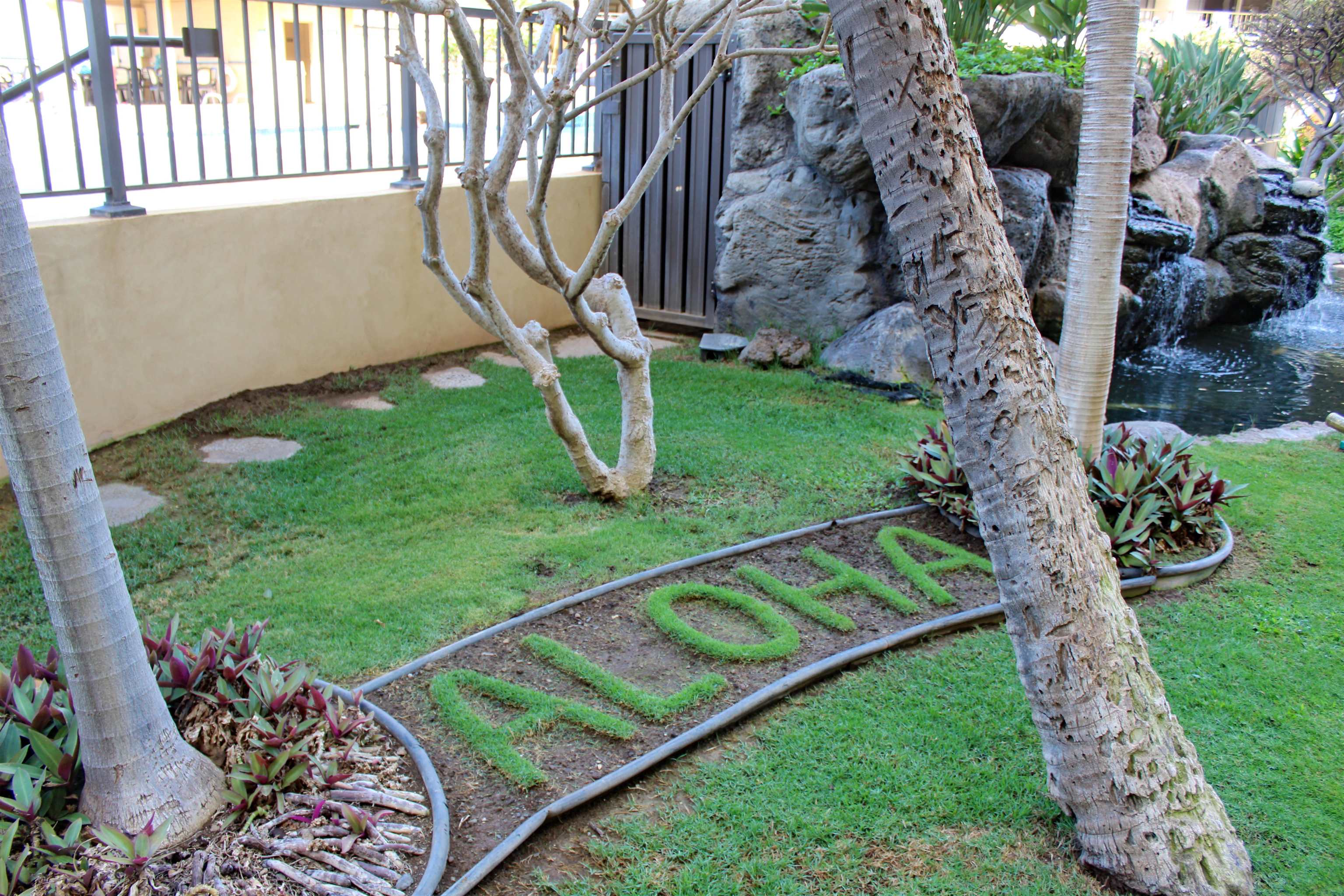 145 North Kihei Road, Unit 503 Kihei, HI 96753 - Photo 30 of 30 a view of a backyard with potted plants