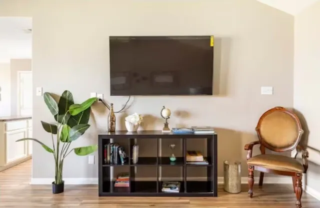 a living room with furniture and a potted plant