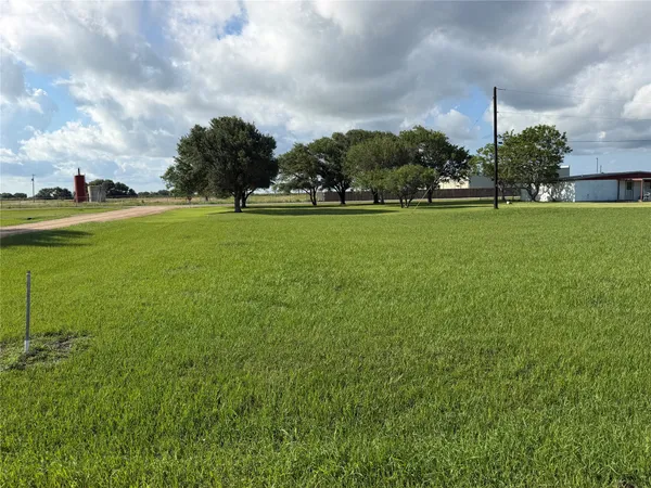 a view of green field